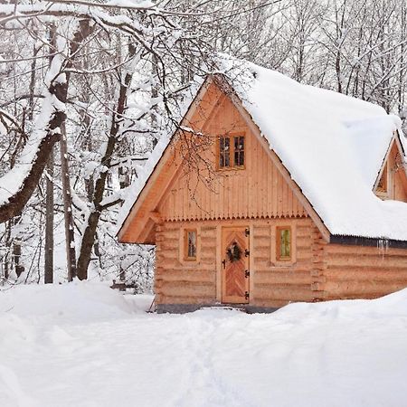 Tatrytop Domek Parzenica Zakopane Exterior foto